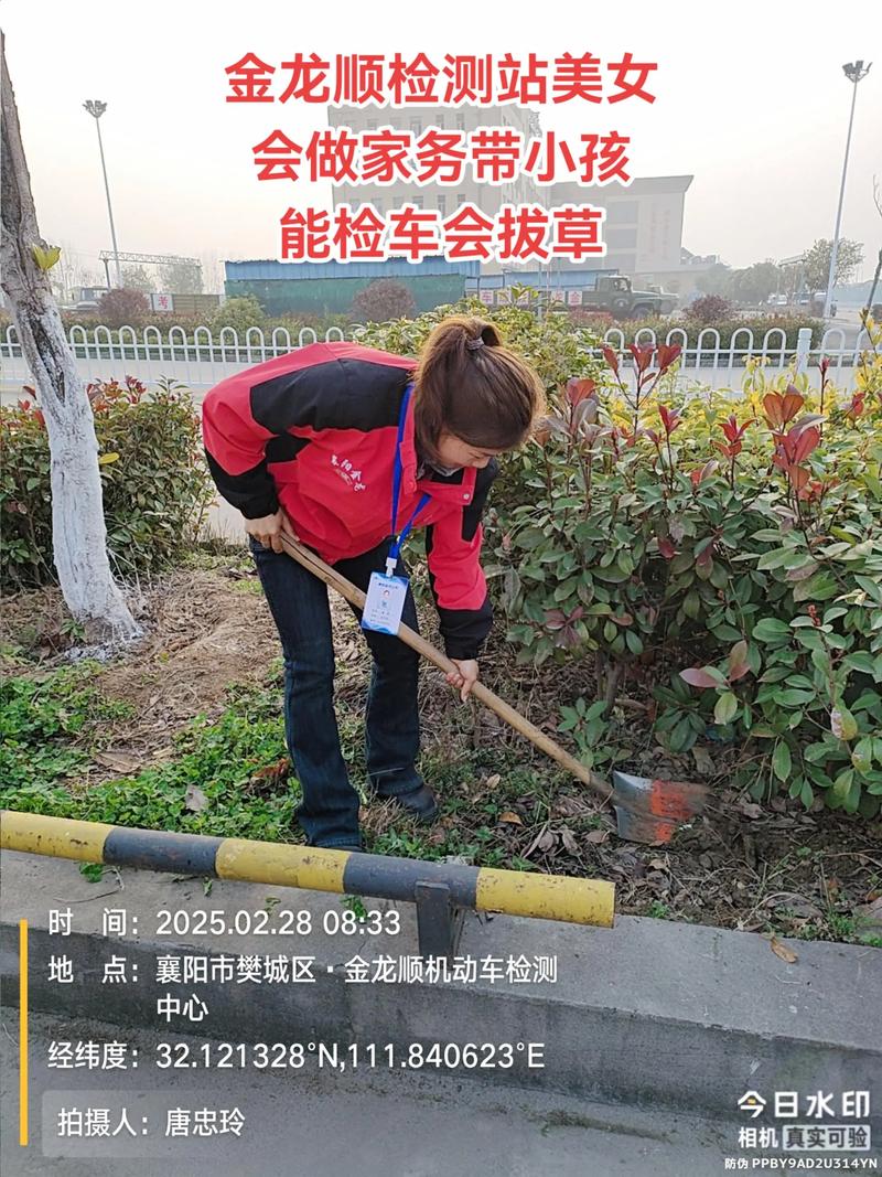 襄阳家政新势力 